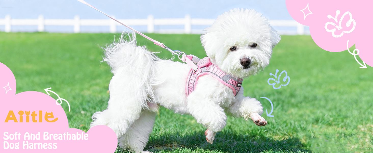 AIITLE No Pull Dog Harness and Leash Set