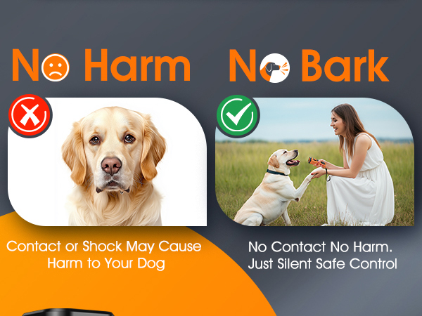 ultrasonic bark deterrent