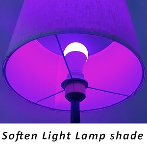 Floor lamp with lamp shade