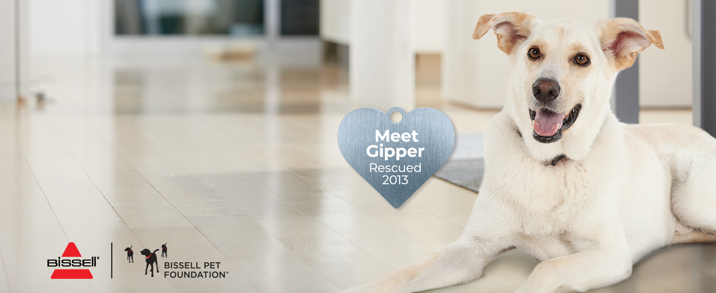 bissell pet foundation