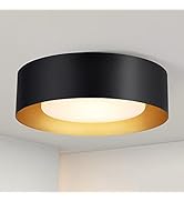 Yasince Modern Black and Gold Flush Mount Ceiling Lights, Minimalist Drum Round Ceiling Lighting,...