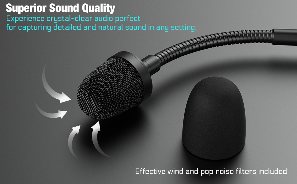 xlr microphone