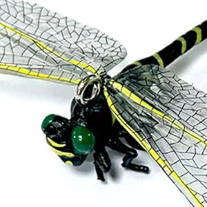 Lanyard Ring