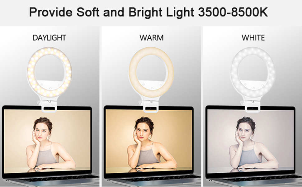 Video Conference Lighting Kit