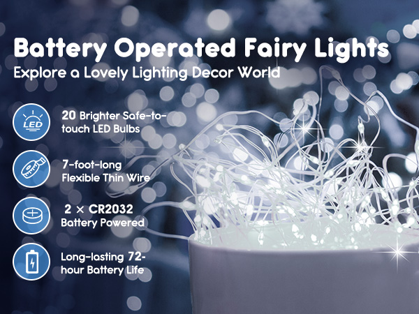 Fairy Lights