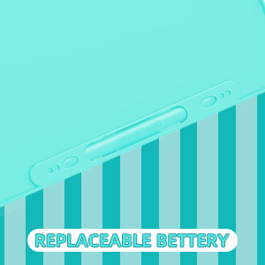 Replaceable Battery