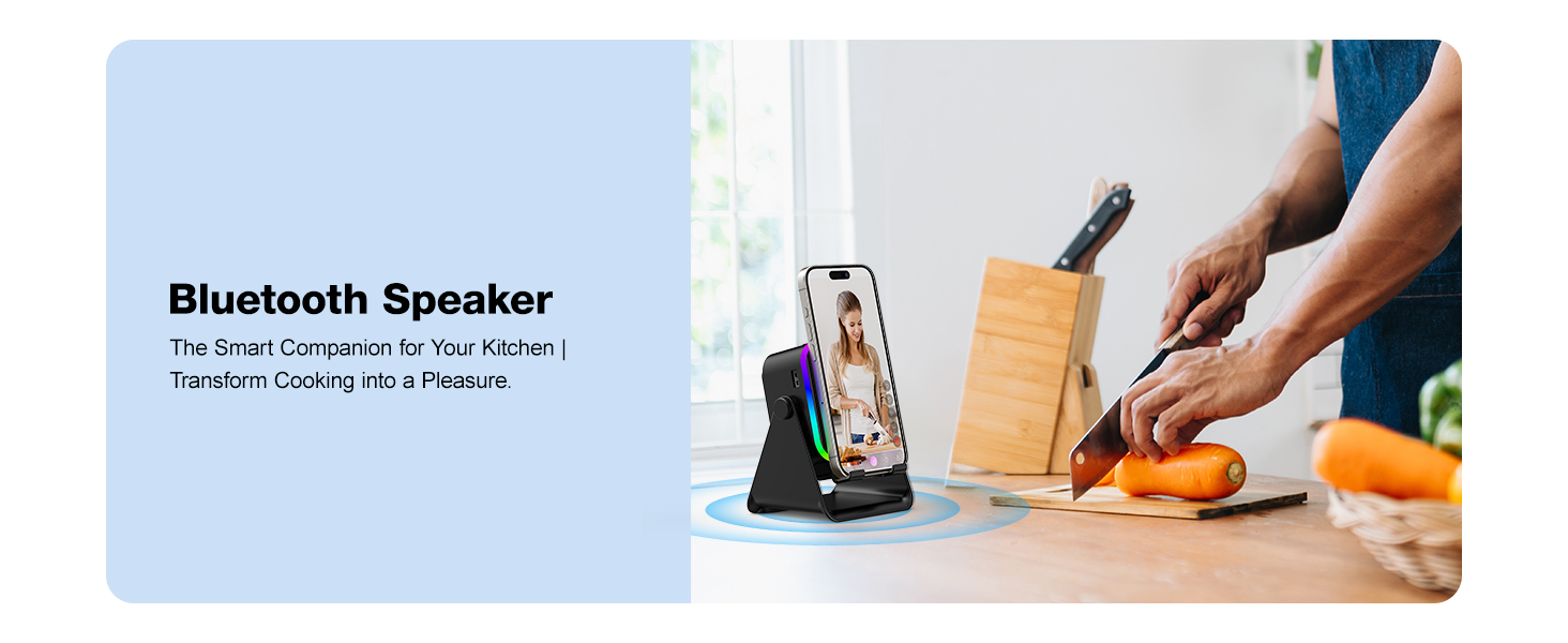 Wireless Induction Speaker