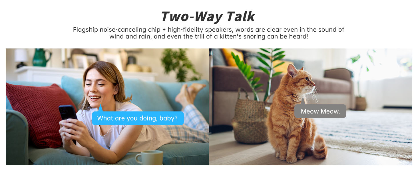 Two Way Audio