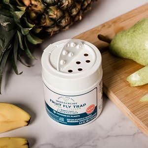 fly catcher natural organic plant based ingredients long lasting