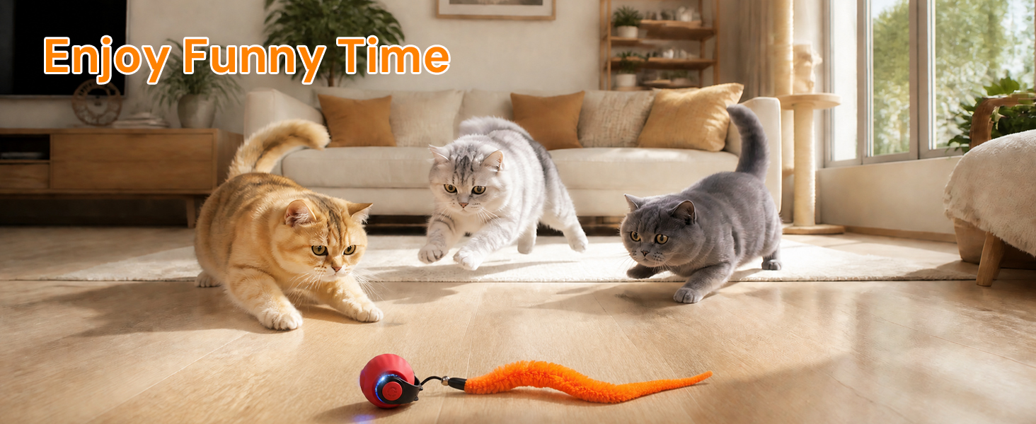 motion activated cat toy ball