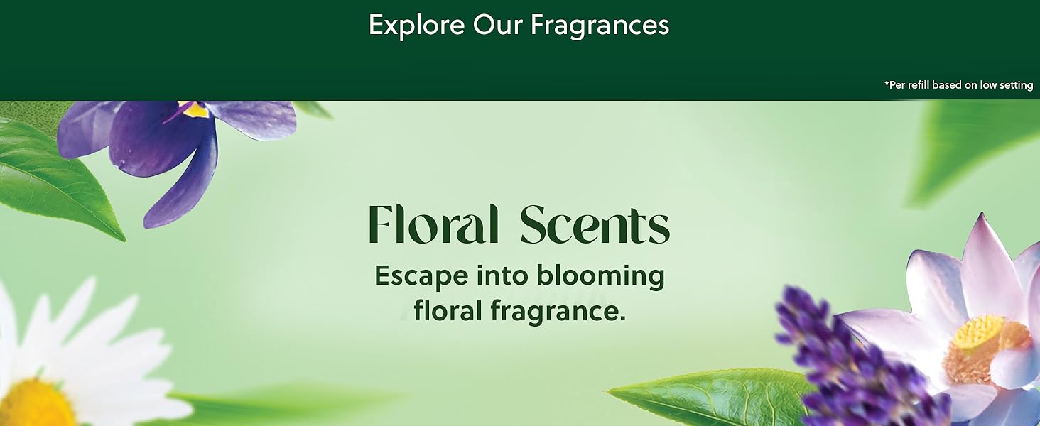 bathroom smell good,bathroom freshener long lasting