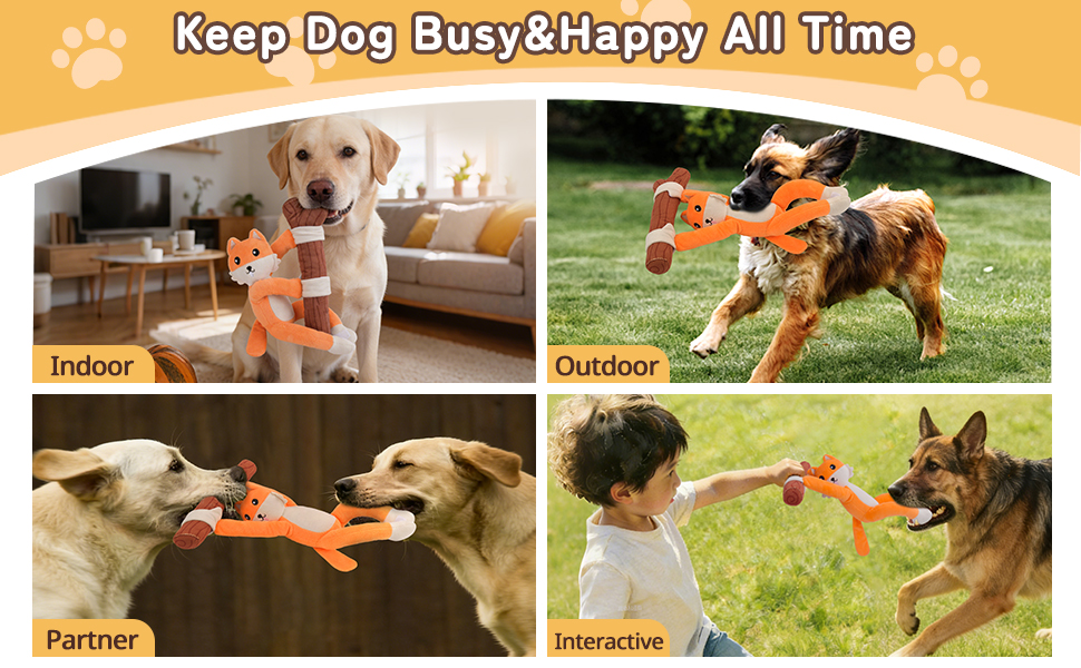 dog toy