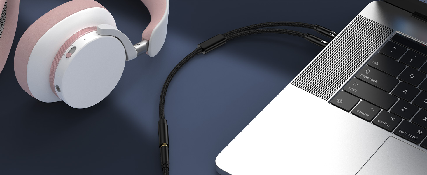 dual mic and headphone splitter