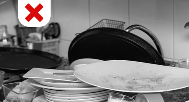 paper dinner plates