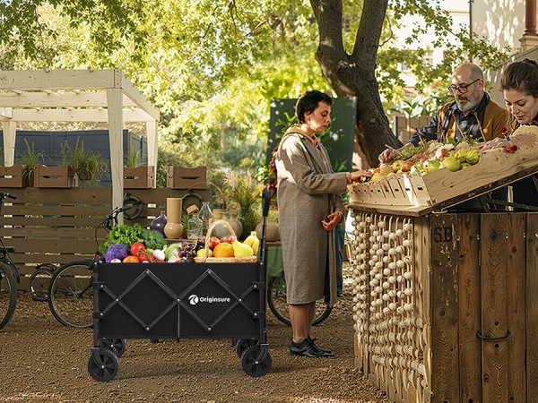 takes me grocery shopping and carry my groceries easier