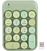 PUSOKEI Wireless Numeric Keypad, Cute Number Pad for Game Direction Switching, Portable Cute 18-R...