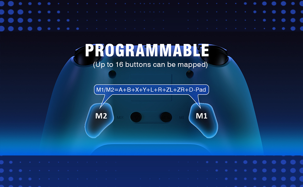 switch controller