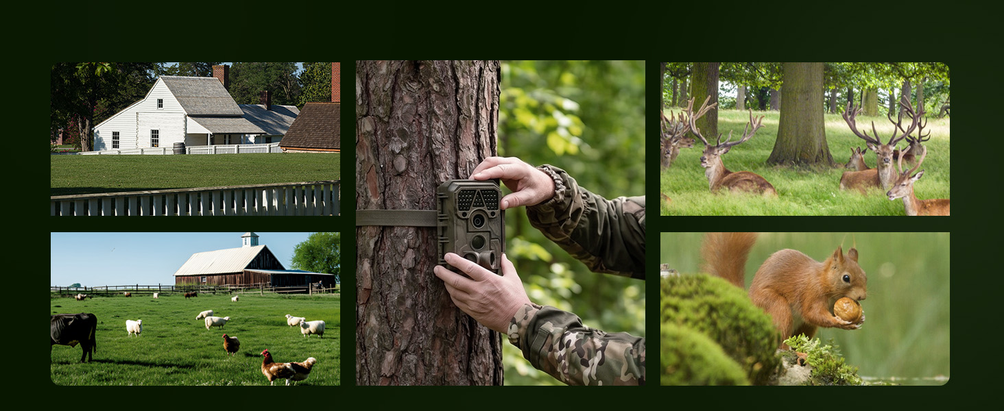meidase p70 trail camera
