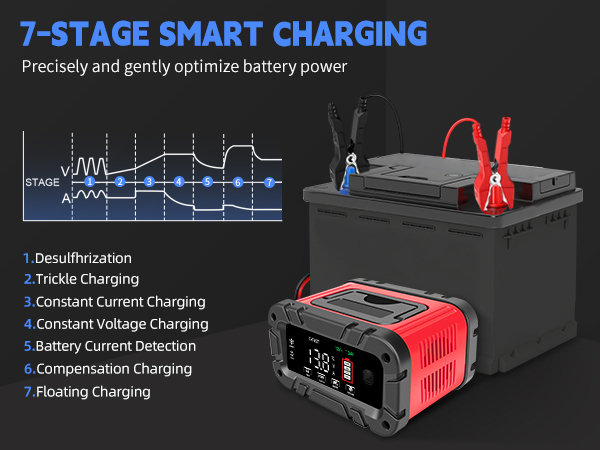 lifepo4 battery charger