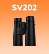 sv202??