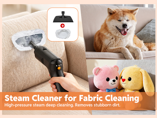 steam cleaner for home