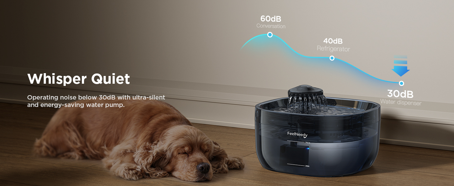 water fountain for dogs inside