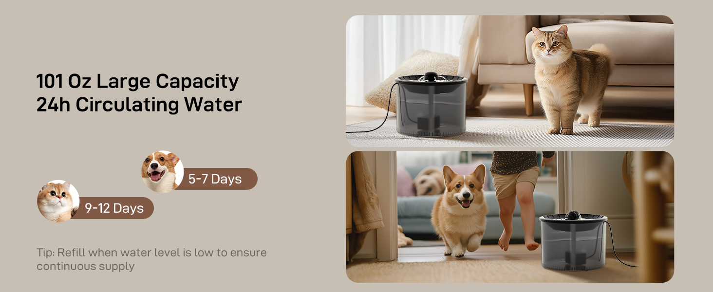 cat food and water dispenser set