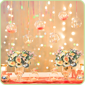 Globes Fillable Acrylic Bulk
