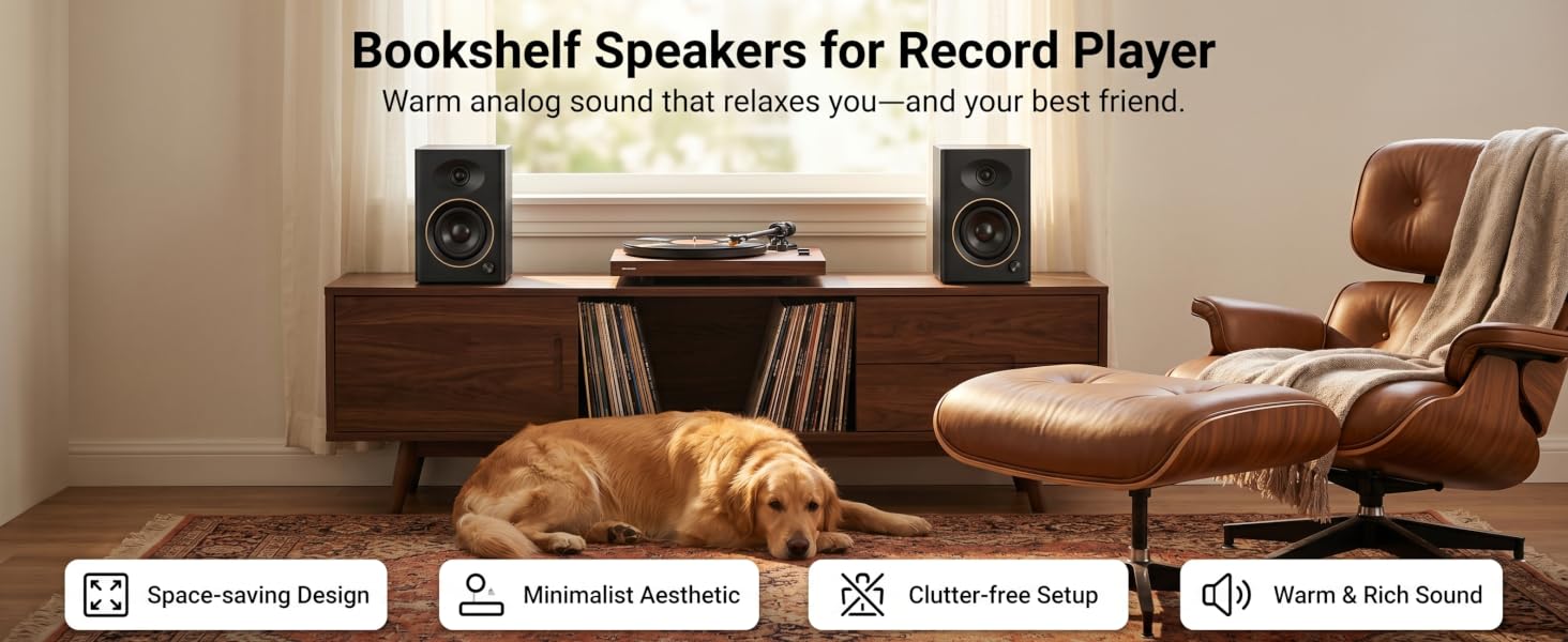 bookshelf speakers for record player