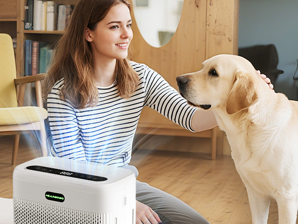 hepa air purifier