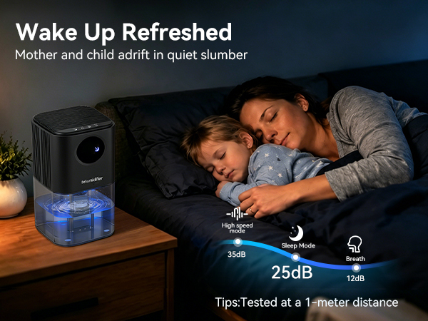 Dehumidifier