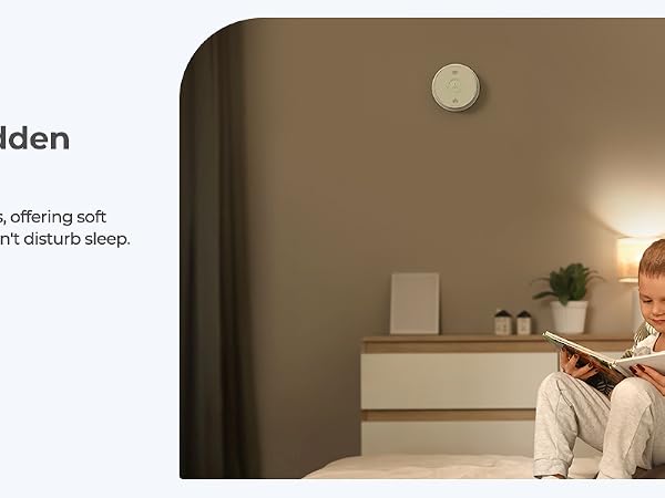 Smoke Detectors