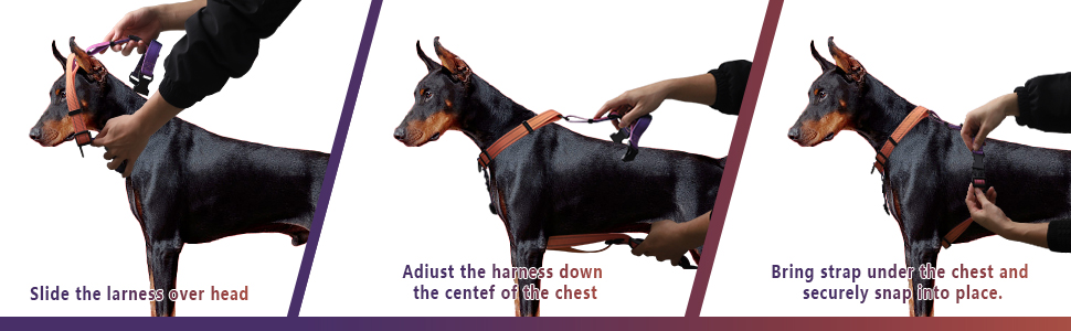 dog harness and leash set for puppies