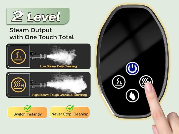 hand held steamer for cleaning
