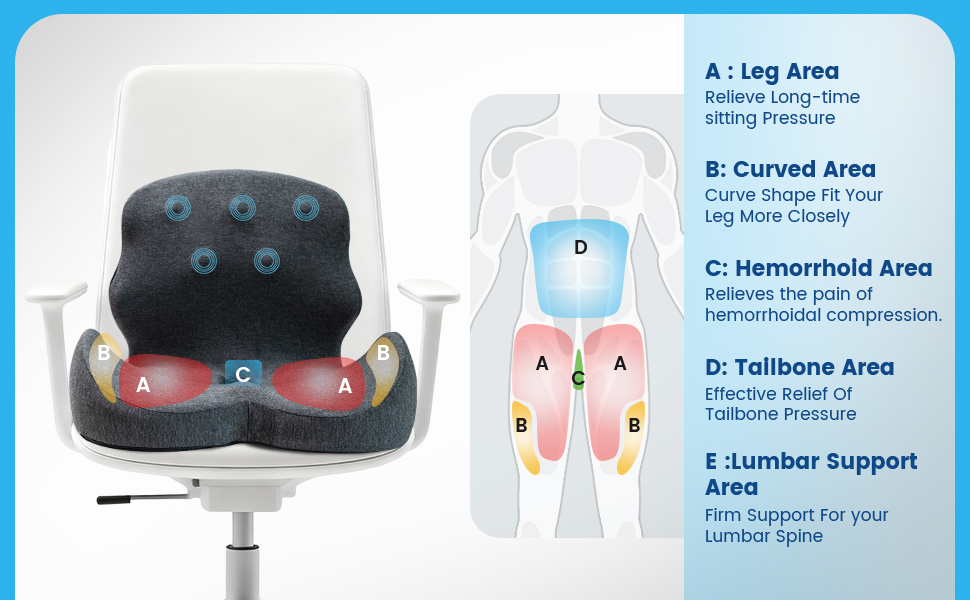 back support for office chair
