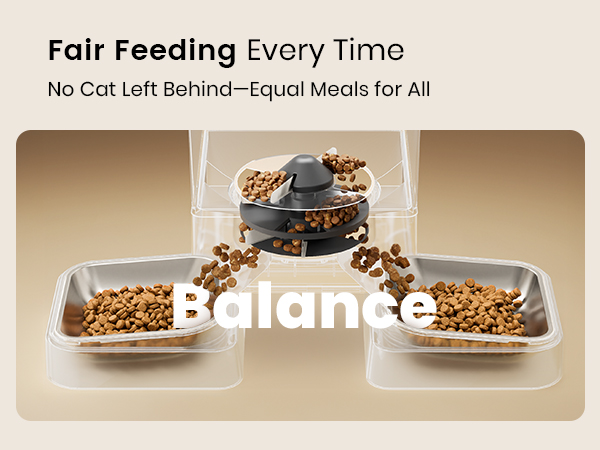 Automatic cat feeder