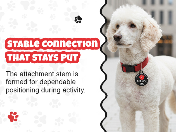 service dog tag with strong lobster clasp secure attachment for dog collar