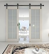 double barn door hardware kit