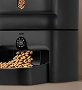 cat feeder with camera