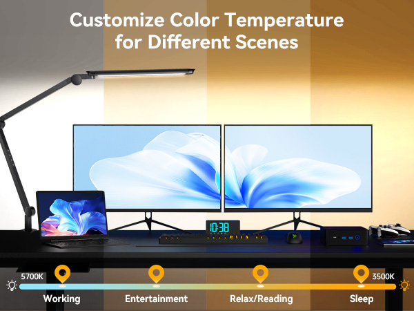 LED Desk Lamp