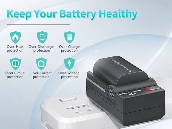 LP E6 charger for canon battery