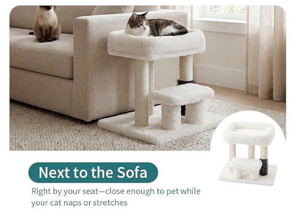 Cat Scratching Post