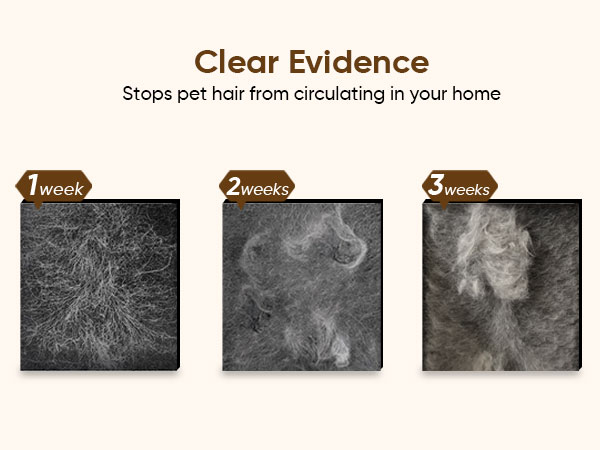 pet hair air purifier