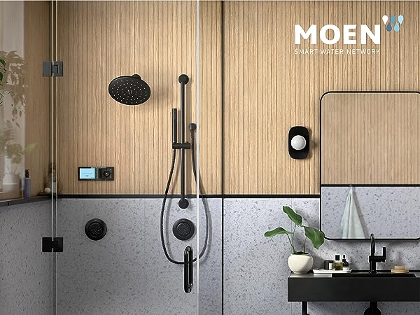 Moen Smart Shower