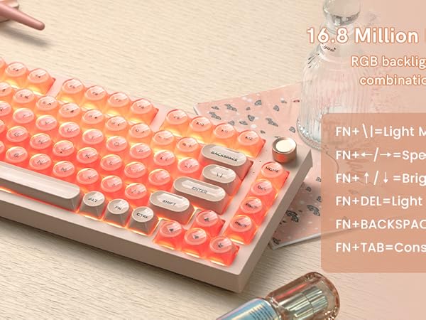 16.8 Million RGB Backlight