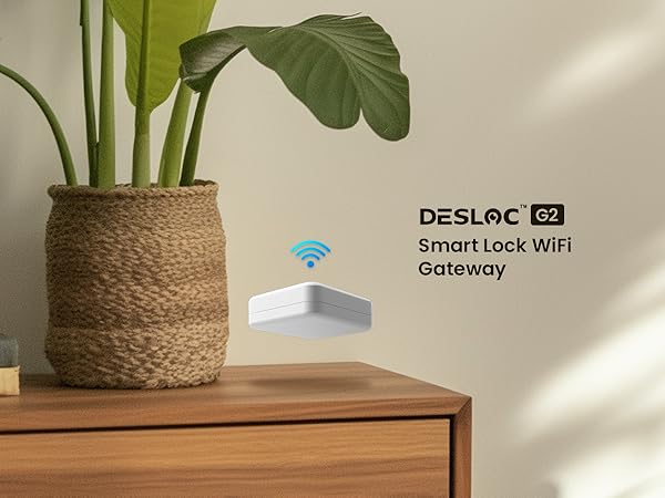 Smart Lock WIFI Gateway