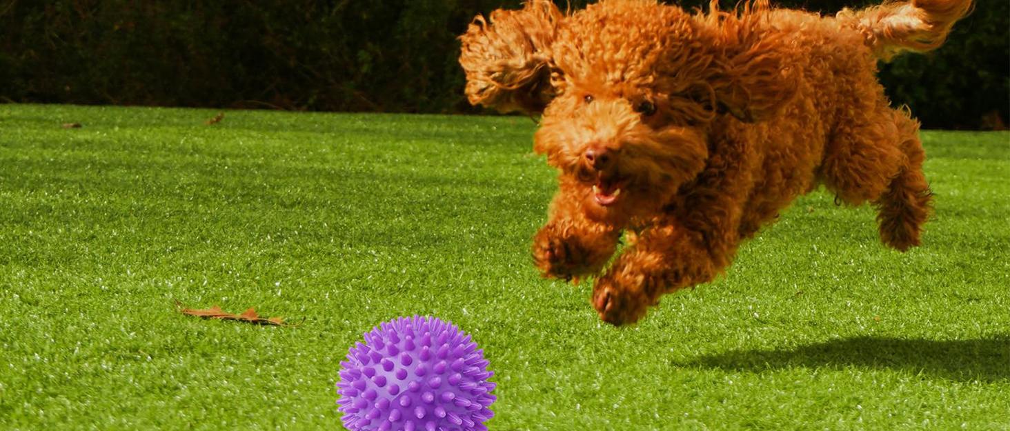 spike ball