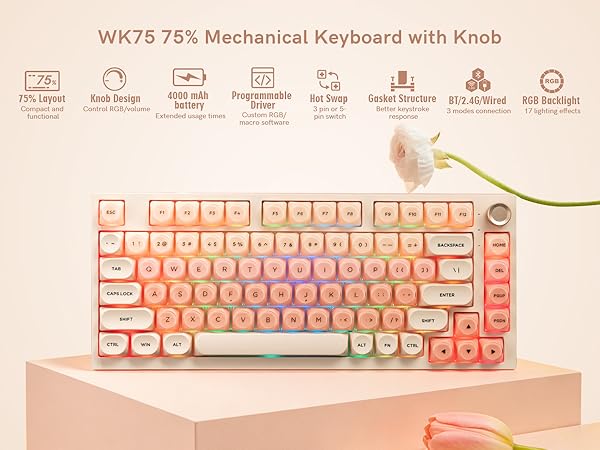 WK75 75% Mechanical Keyboard with Knob with several functions