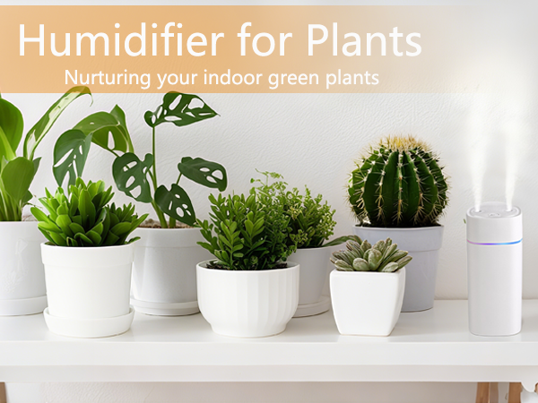 humidifier essential oil diffuser plant humidifier indoor humidifier for plants air humidifier