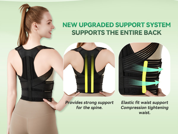 align pro back brace